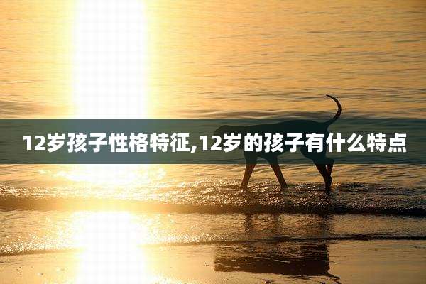12岁孩子性格特征,12岁的孩子有什么特点