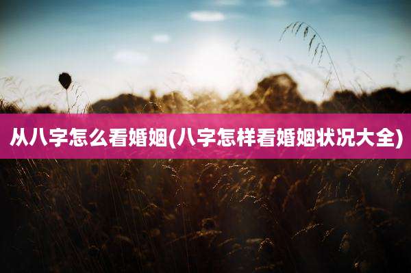 从八字怎么看婚姻(八字怎样看婚姻状况大全)
