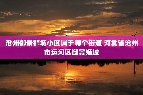 沧州御景狮城小区属于哪个街道 河北省沧州市运河区御景狮城