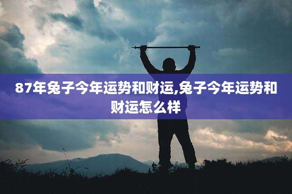 87年兔子今年运势和财运,兔子今年运势和财运怎么样