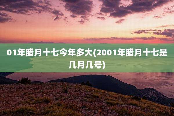 01年腊月十七今年多大(2001年腊月十七是几月几号)