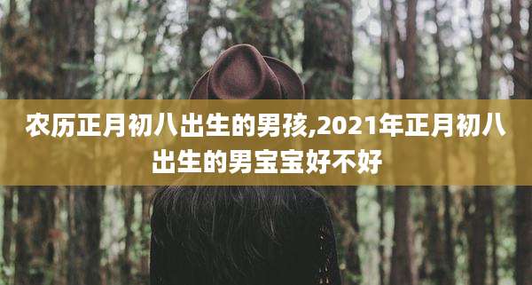 农历正月初八出生的男孩,2021年正月初八出生的男宝宝好不好
