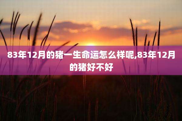 83年12月的猪一生命运怎么样呢,83年12月的猪好不好