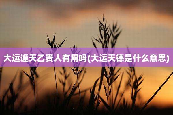 大运逢天乙贵人有用吗(大运天德是什么意思)