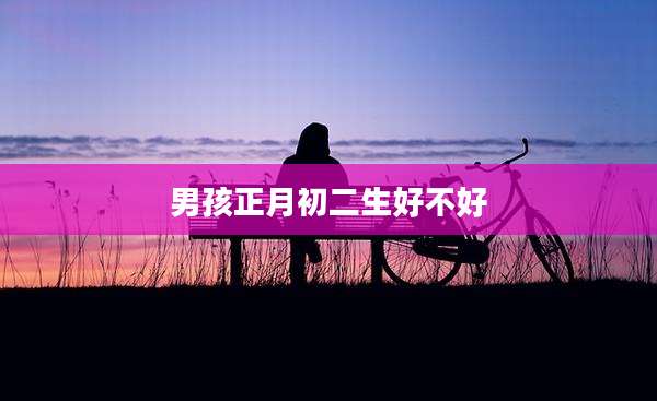 男孩正月初二生好不好