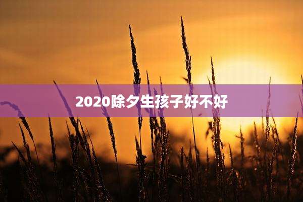 2020除夕生孩子好不好