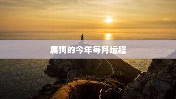 属狗的今年每月运程