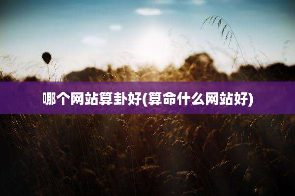 哪个网站算卦好(算命什么网站好)
