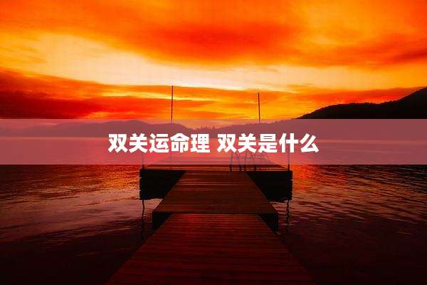 双关运命理 双关是什么