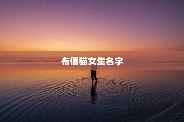布偶猫女生名字