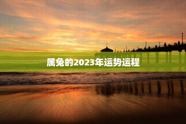 属兔的2023年运势运程