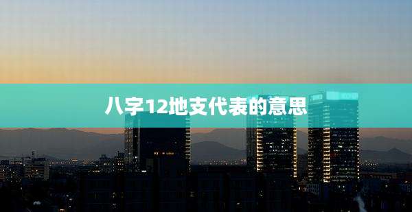 八字12地支代表的意思
