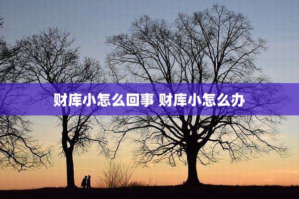 财库小怎么回事 财库小怎么办