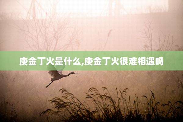 庚金丁火是什么,庚金丁火很难相遇吗