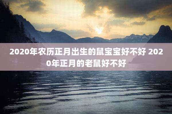 2020年农历正月出生的鼠宝宝好不好 2020年正月的老鼠好不好