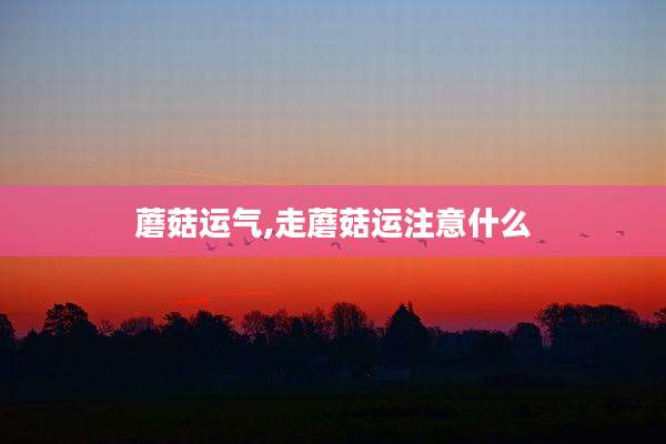 蘑菇运气,走蘑菇运注意什么