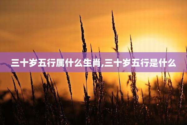 三十岁五行属什么生肖,三十岁五行是什么