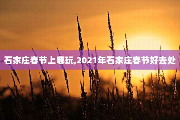 石家庄春节上哪玩,2021年石家庄春节好去处