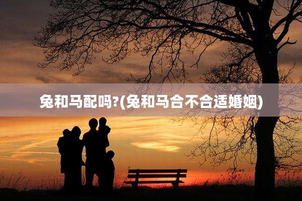 兔和马配吗?(兔和马合不合适婚姻)