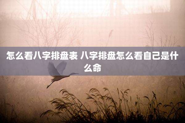 怎么看八字排盘表 八字排盘怎么看自己是什么命