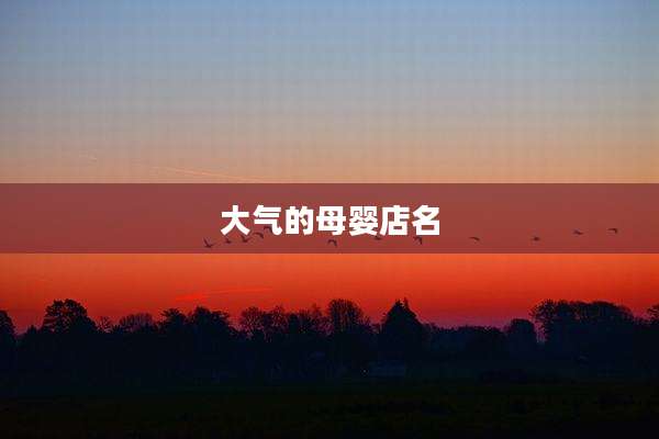 大气的母婴店名