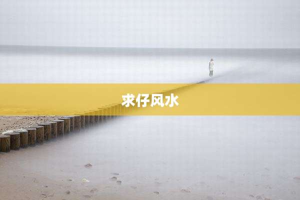 求仔风水