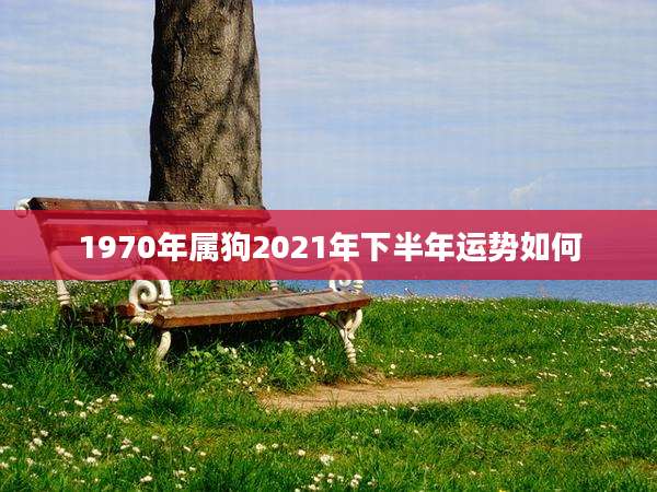 1970年属狗2021年下半年运势如何