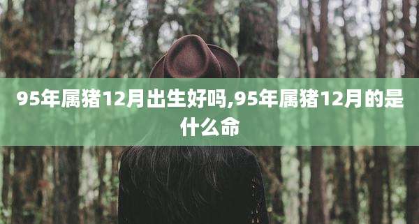95年属猪12月出生好吗,95年属猪12月的是什么命