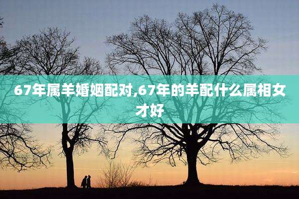 67年属羊婚姻配对,67年的羊配什么属相女才好