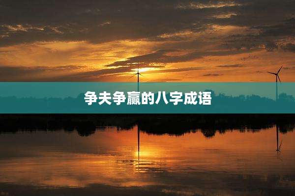 争夫争赢的八字成语