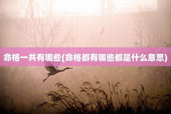 命格一共有哪些(命格都有哪些都是什么意思)