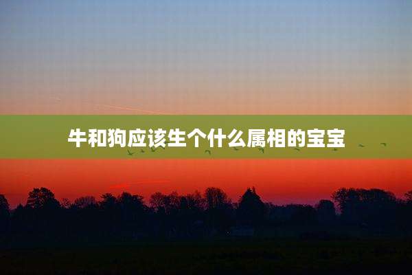 牛和狗应该生个什么属相的宝宝