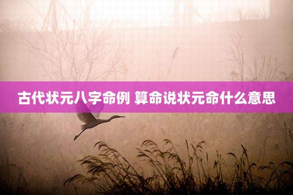 古代状元八字命例 算命说状元命什么意思