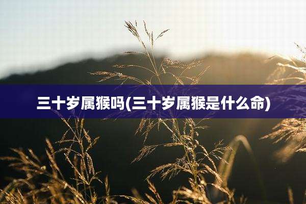 三十岁属猴吗(三十岁属猴是什么命)
