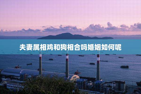 夫妻属相鸡和狗相合吗婚姻如何呢