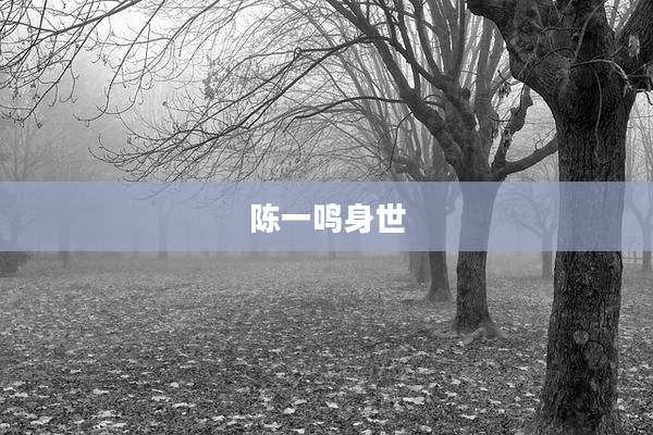 陈一鸣身世
