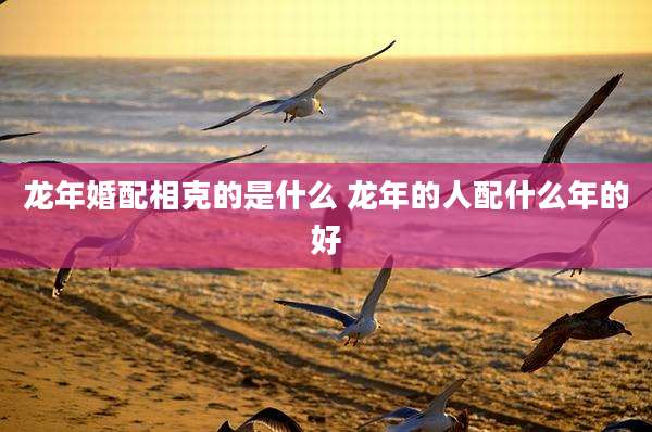 龙年婚配相克的是什么 龙年的人配什么年的好
