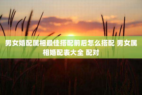 男女婚配属相最佳搭配前后怎么搭配 男女属相婚配表大全 配对