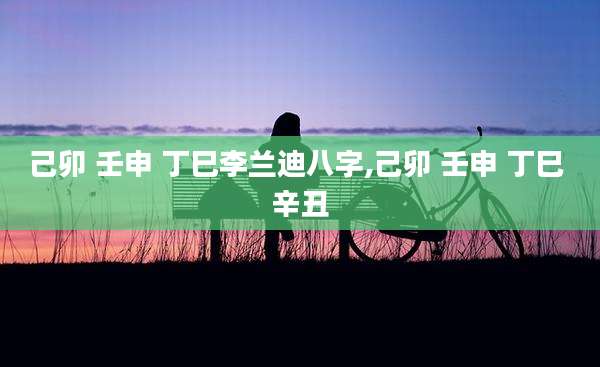 己卯 壬申 丁巳李兰迪八字,己卯 壬申 丁巳 辛丑