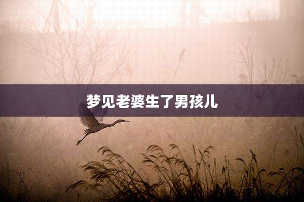 梦见老婆生了男孩儿