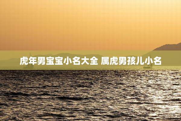虎年男宝宝小名大全 属虎男孩儿小名