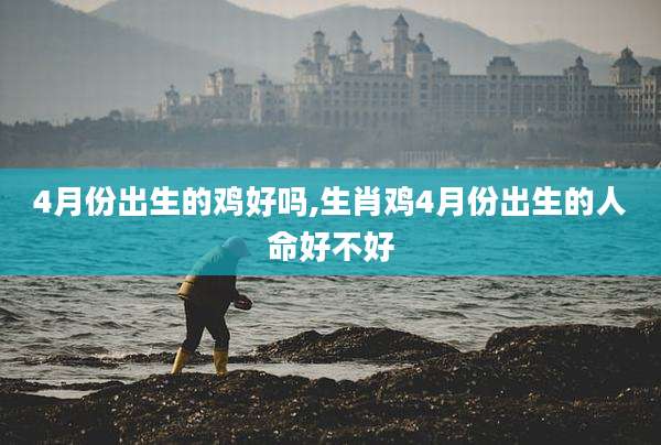 4月份出生的鸡好吗,生肖鸡4月份出生的人命好不好