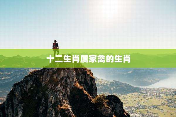 十二生肖属家禽的生肖