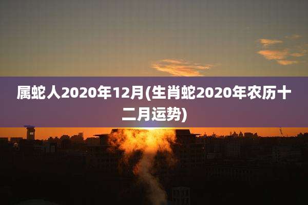 属蛇人2020年12月(生肖蛇2020年农历十二月运势)