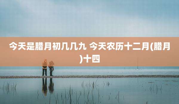 今天是腊月初几几九 今天农历十二月(腊月)十四