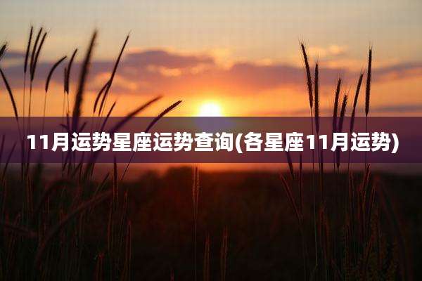 11月运势星座运势查询(各星座11月运势)
