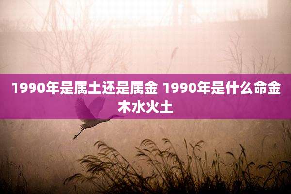 1990年是属土还是属金 1990年是什么命金木水火土