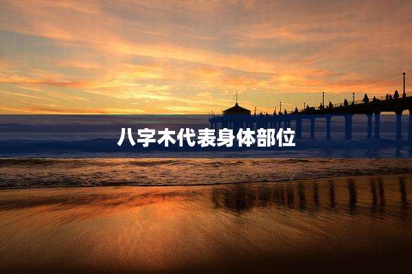 八字木代表身体部位