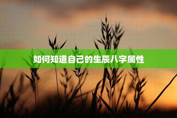 如何知道自己的生辰八字属性
