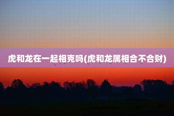 虎和龙在一起相克吗(虎和龙属相合不合财)